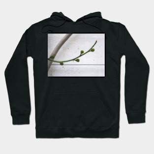 Against the Wall 2 Hoodie